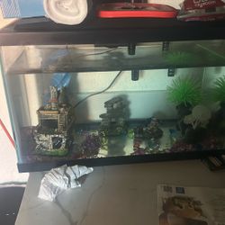 Fish Tank