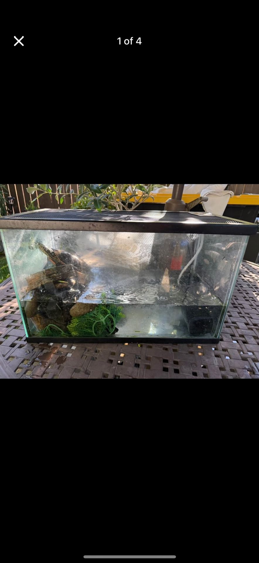 Tank And Pump/filter