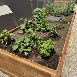 Raised Garden Bed