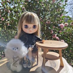 Custom Bylthe Doll With Dog - Heather & Hallie