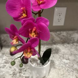 Fake Orchid Desk Plant
