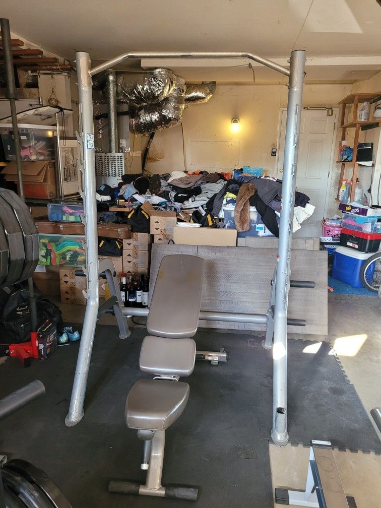 Hoist Squat Rack and Life Fitness Adjustable Weight Bench for $275 Firm (Walnut 91789)