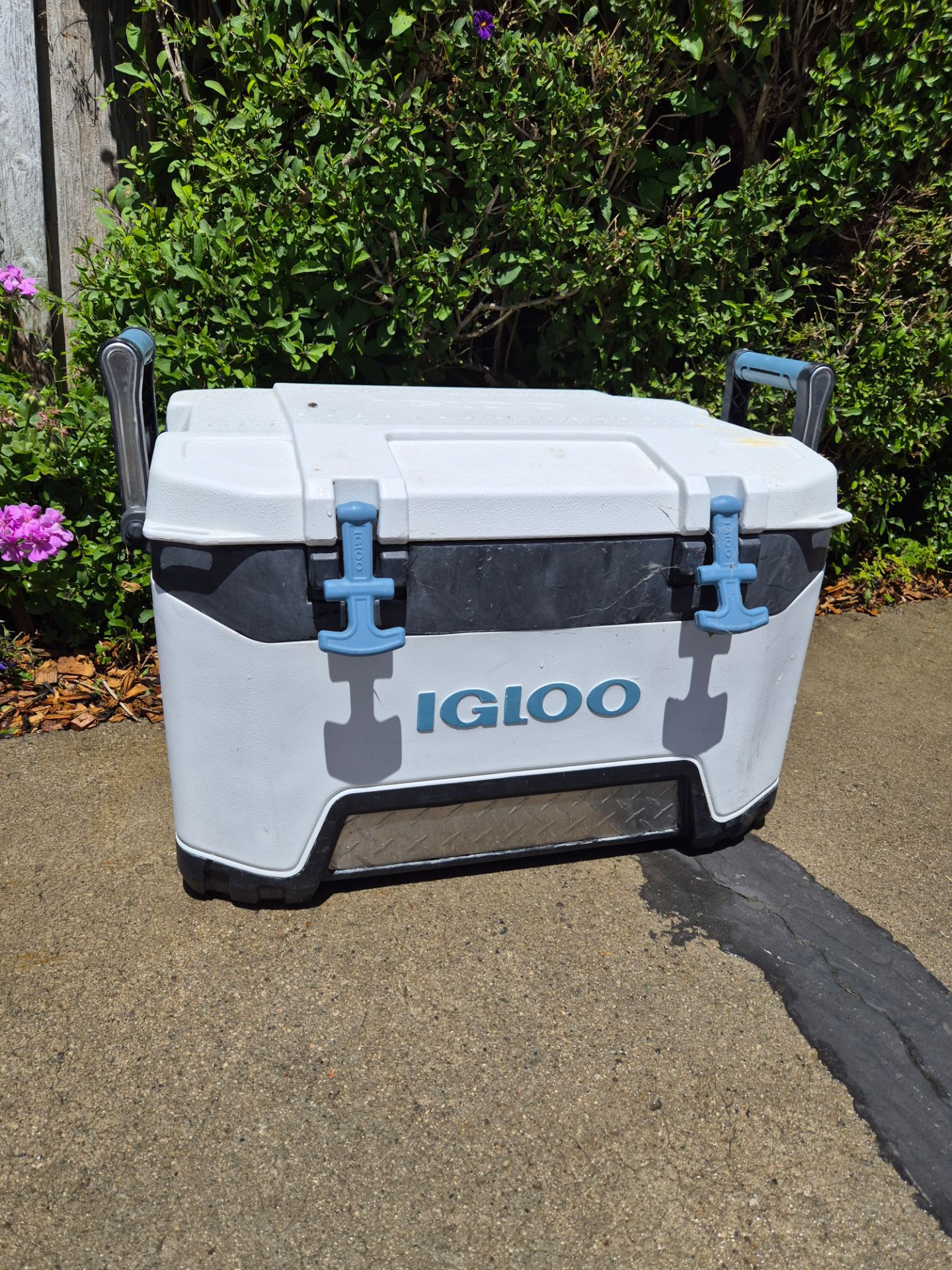 Igloo BMX cooler with white and baby blue details.