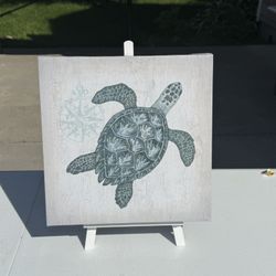 Decorate Turtle Pictures 