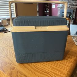 Mini Hard Sided Cooler