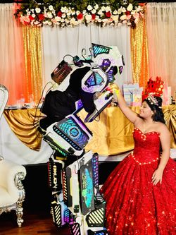 Show De Robot