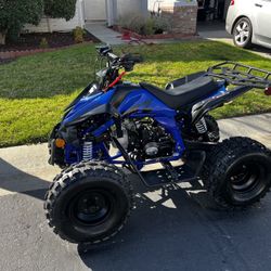 Apollo Blazer 9 ATV 110cc