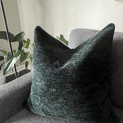 2 - 22”Decorative Pillows $15 Each