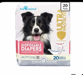 Female dog diapers Large