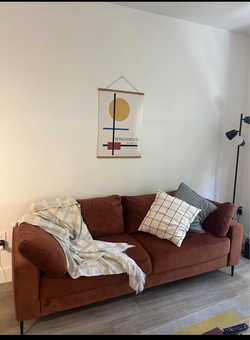 Modern Rust Velvet Sofa