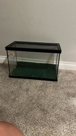 10 Gallon Reptile Enclosure