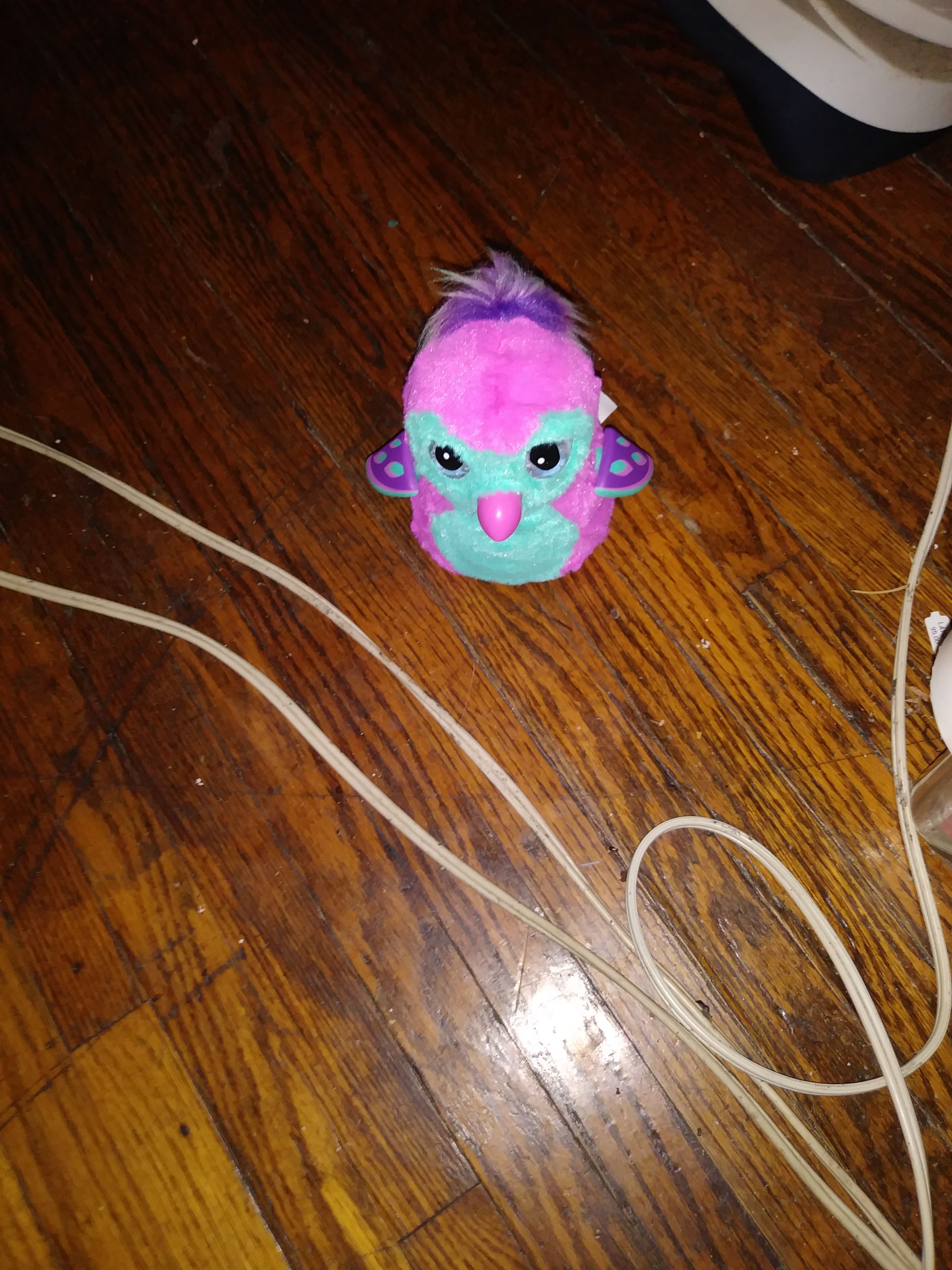 Hatchimals