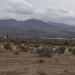 Land 43.4 Acres.