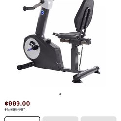 Elite Total Body Recumbent Bike