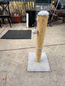 Cat scratching tree