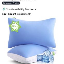 Melts Queen Size Luxury Pillows Set Of 2