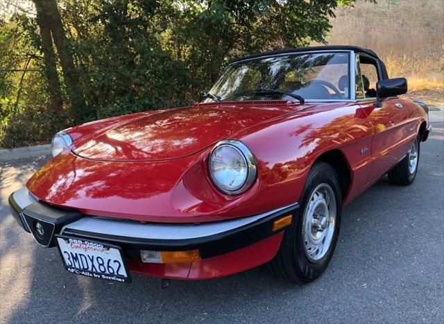 1987 Alfa Romeo Spider