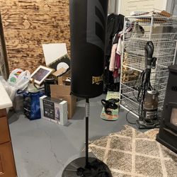 Everlast Training Bag 