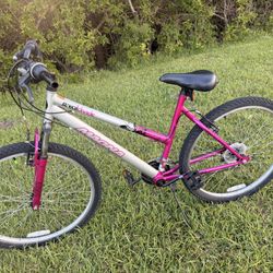 Magna Great Divide Bike  26”