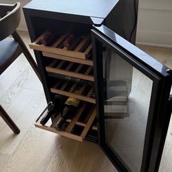Wine cooler fridge in Bucktown Chicago