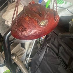 Real Armadillo Purse