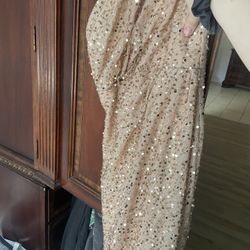 Dress No Tears Brand New Never Worn 