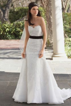 WATTERS Strapless Lace and Silk Chiffon DESIGNER WEDDING DRESS Size 2