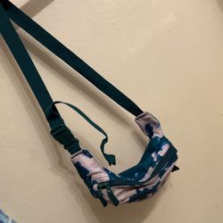 Jansport Fanny