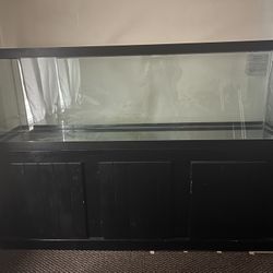 125 Gallon Tank