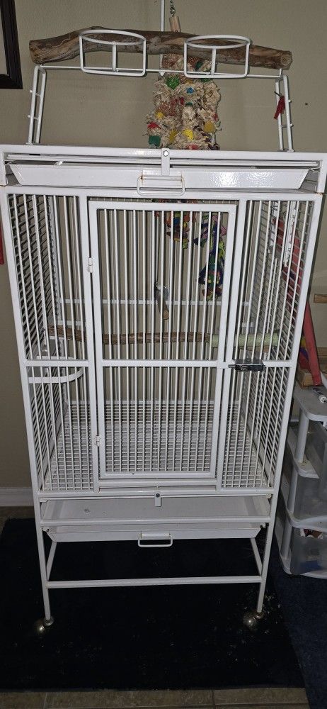 Bird Cage