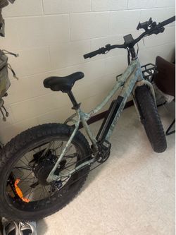 Surface 604 boar hunter e bike
