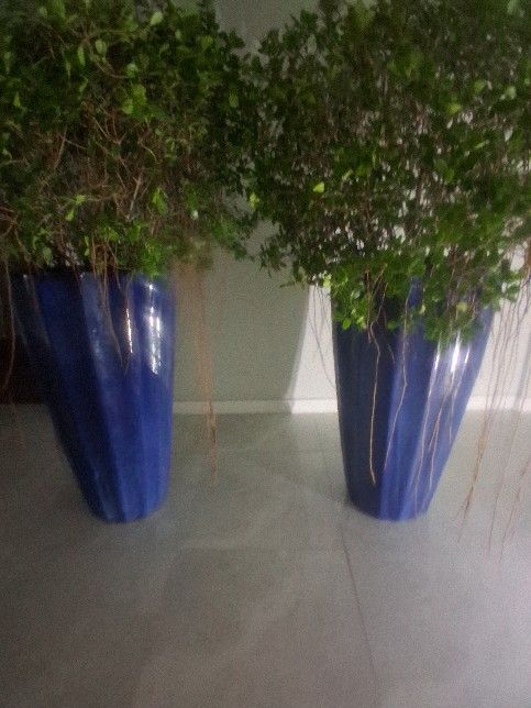 2 NEW, FIRE GLAZED TERRA COTTA "MAGESTIC FOUNTAIN" PLANTERS WITH PLANTS SET UP WITH ROCKS, SOIL AND PLASTIC POTS, THESE ARE THE BOMB PLANTERS SET UP!