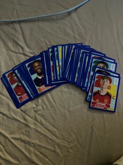Panini blue boarder stickers