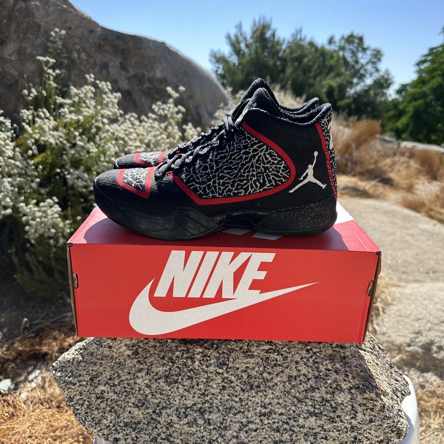 Jordan 29 Black Gym Red for Sale in Riverside County CA OfferUp