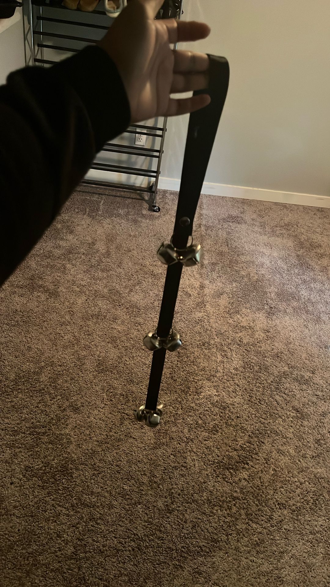 Dog Potty Training Bells