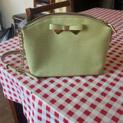 Anne Klein Sage Green Crossbody Bag