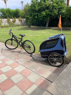 Mountain bike with pet carriage