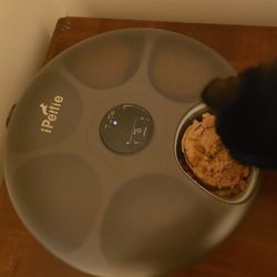 Pet Feeder