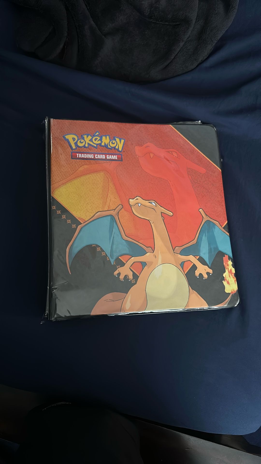 Mystery Pokemon Binder