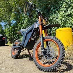 Electric Bike