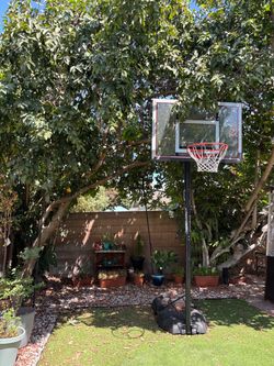 Basketball hoop