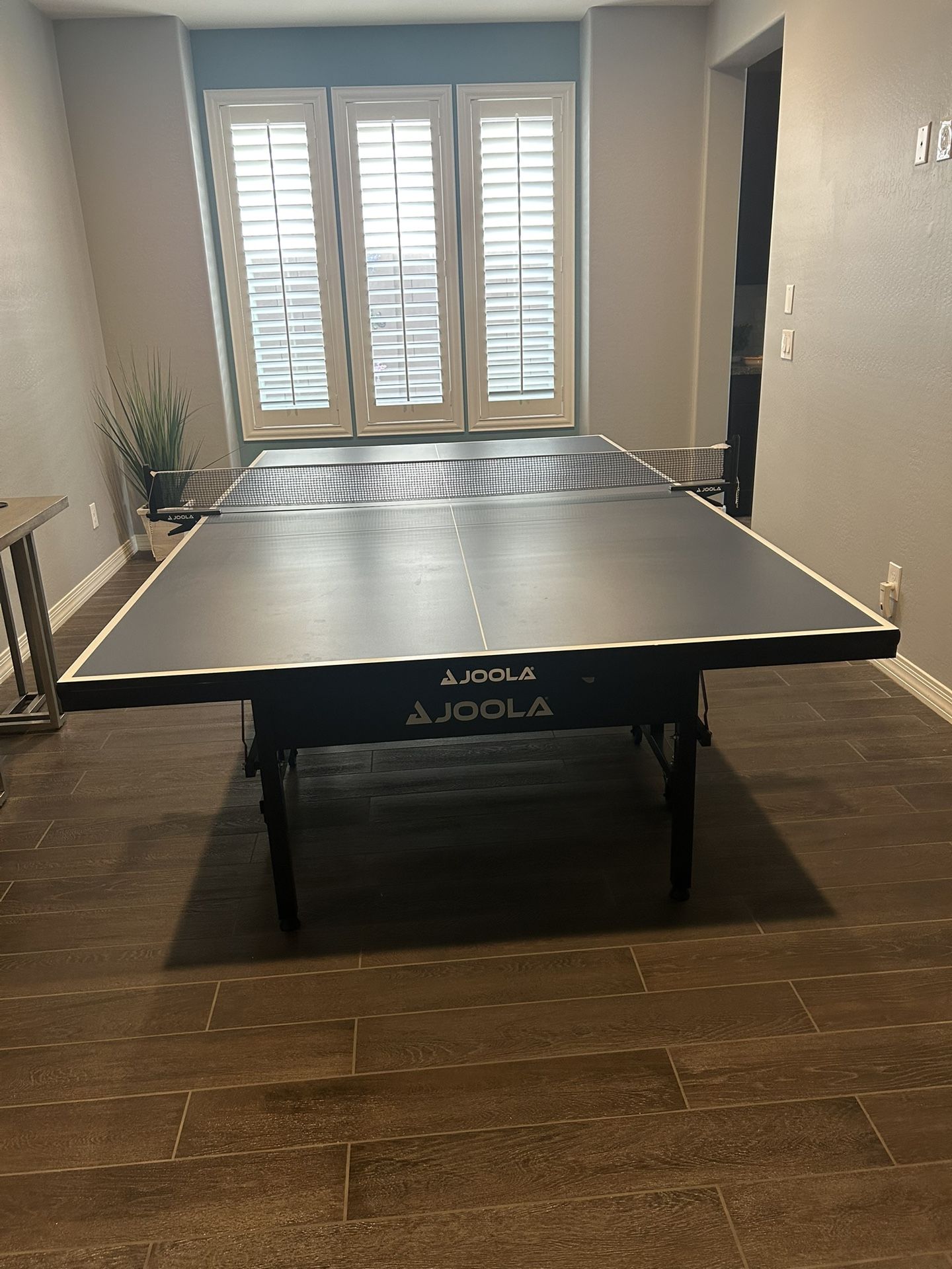 Ping Pong Table
