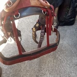 Tree Climbing Belt And Backpack