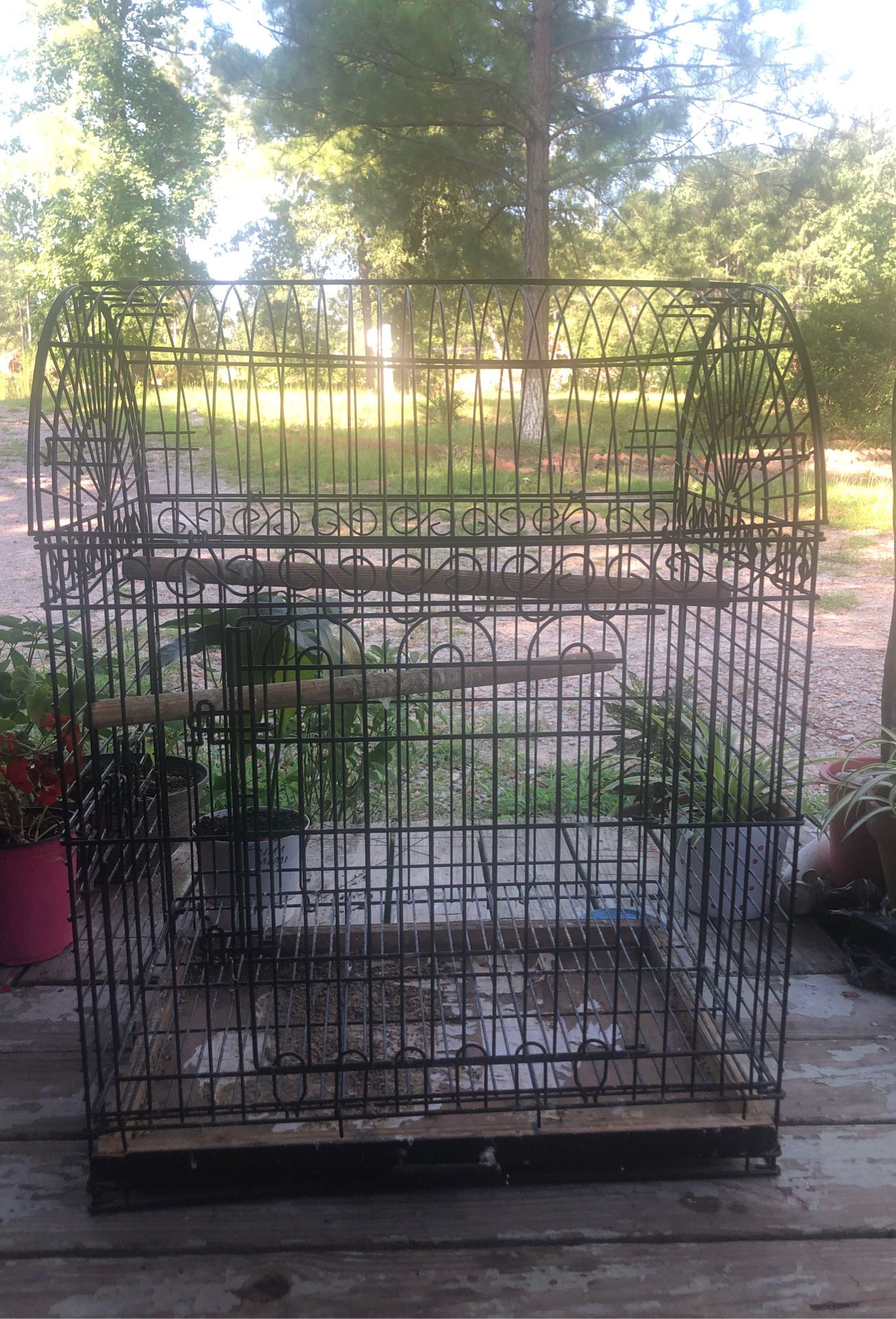 Bug Bird cage