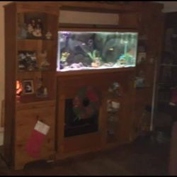 Fireplace And Entertainment Shelves 