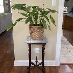 Antique End Table - Plant Stand