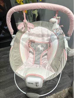 Baby Bouncer