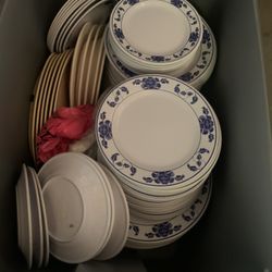 Restaurant Plate 
