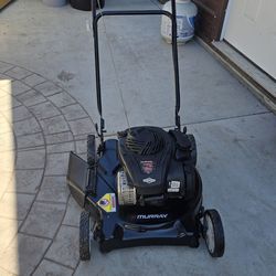 Murray 20-in Walk Behind Gas Push Lawn Mower