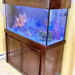Salt Water 70 Gallon Fish Tank 